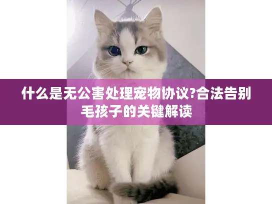 什么是无公害处理宠物协议?合法告别毛孩子的关键解读 什么是无公害处理宠物协议?合法告别毛孩子的关键解读