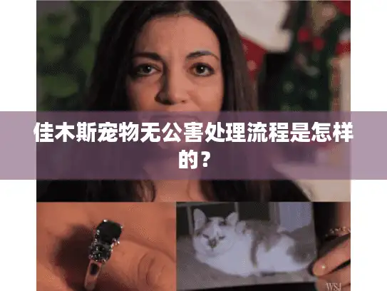 佳木斯宠物无公害处理流程是怎样的？