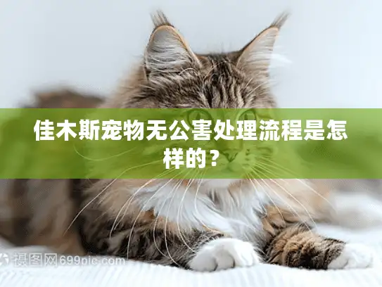 佳木斯宠物无公害处理流程是怎样的？