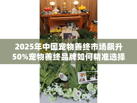 2025年中国宠物善终市场飙升50%宠物善终品牌如何精准选择？
