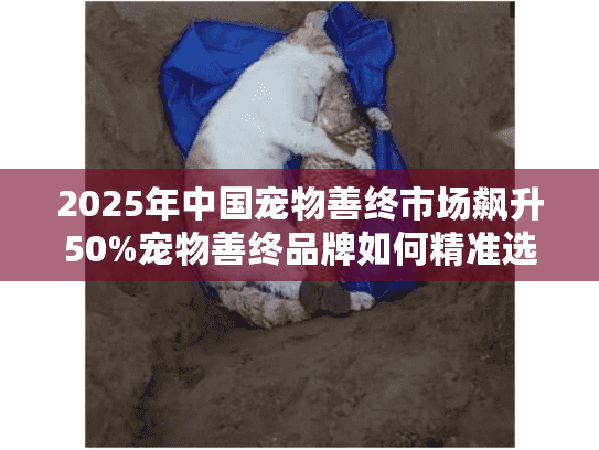 2025年中国宠物善终市场飙升50%宠物善终品牌如何精准选择？