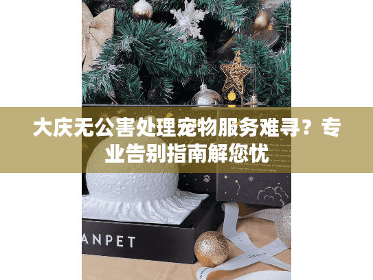 大庆无公害处理宠物服务难寻？专业告别指南解您忧