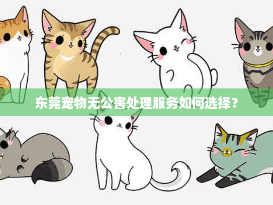 东莞宠物无公害处理服务如何选择？