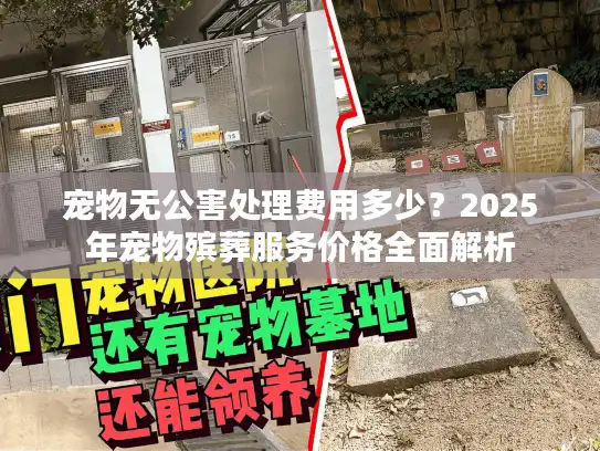 宠物无公害处理费用多少？2025年宠物殡葬服务价格全面解析