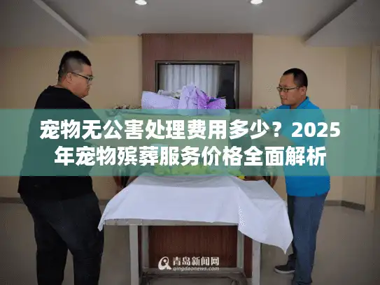 宠物无公害处理费用多少？2025年宠物殡葬服务价格全面解析