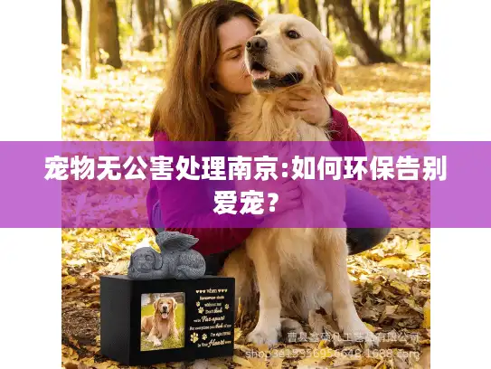 宠物无公害处理南京:如何环保告别爱宠? 宠物无公害处理南京:如何环保告别爱宠?