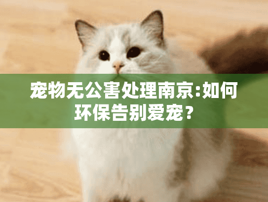 宠物无公害处理南京:如何环保告别爱宠? 宠物无公害处理南京:如何环保告别爱宠?