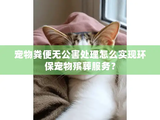 宠物粪便无公害处理怎么实现环保宠物殡葬服务？