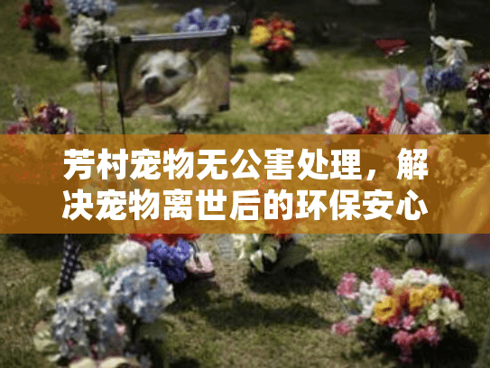 芳村宠物无公害处理，解决宠物离世后的环保安心方案