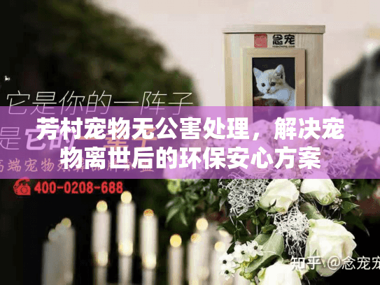 芳村宠物无公害处理，解决宠物离世后的环保安心方案