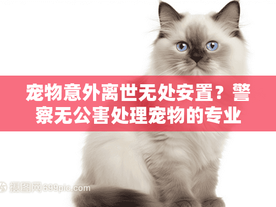 宠物意外离世无处安置？警察无公害处理宠物的专业服务指南