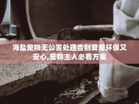 海盐宠物无公害处理告别爱宠环保又安心,宠物主人必看方案 海盐宠物无公害处理告别爱宠环保又安心,宠物主人必看方案