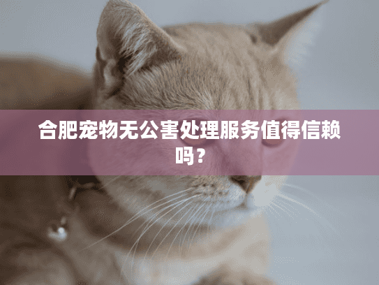 合肥宠物无公害处理服务值得信赖吗? 合肥宠物无公害处理服务值得信赖吗?