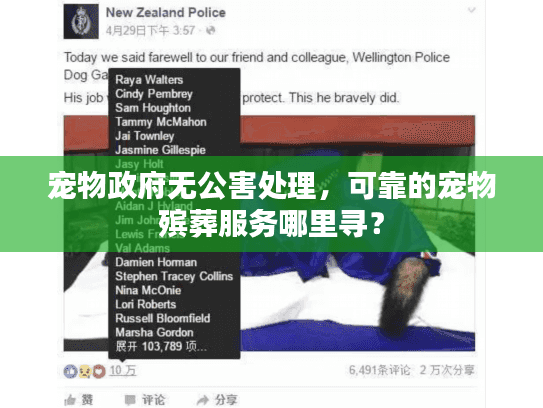 宠物政府无公害处理,可靠的宠物殡葬服务哪里寻? 宠物政府无公害处理,可靠的宠物殡葬服务哪里寻?