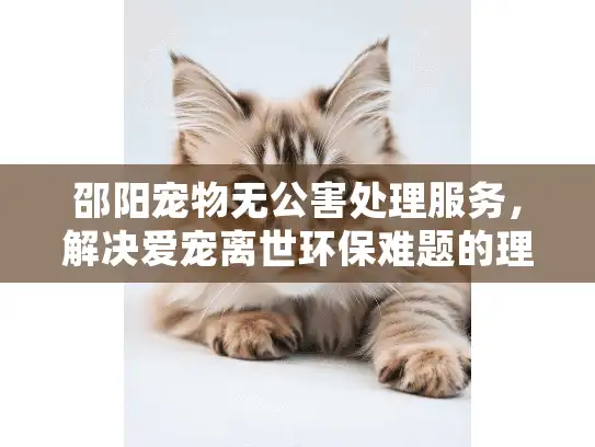 邵阳宠物无公害处理服务,解决爱宠离世环保难题的理想选择? 邵阳宠物无公害处理服务,解决爱宠离世环保难题的理想选择?