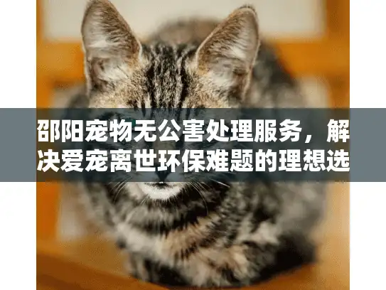 邵阳宠物无公害处理服务,解决爱宠离世环保难题的理想选择? 邵阳宠物无公害处理服务,解决爱宠离世环保难题的理想选择?