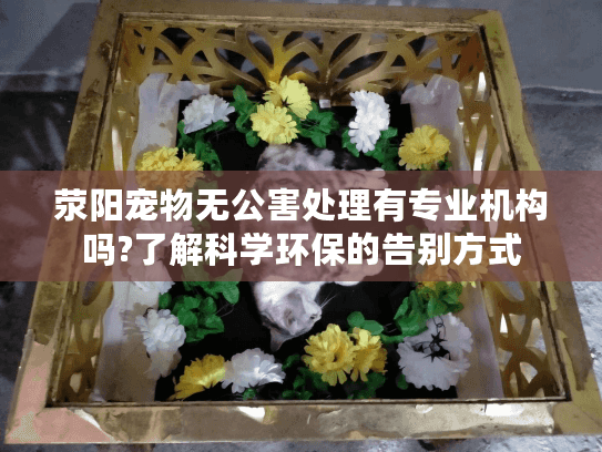 荥阳宠物无公害处理有专业机构吗?了解科学环保的告别方式