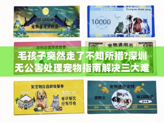 毛孩子突然走了不知所措?深圳无公害处理宠物指南解决三大难题 毛孩子突然走了不知所措?深圳无公害处理宠物指南解决三大难题