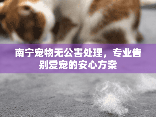 南宁宠物无公害处理，专业告别爱宠的安心方案