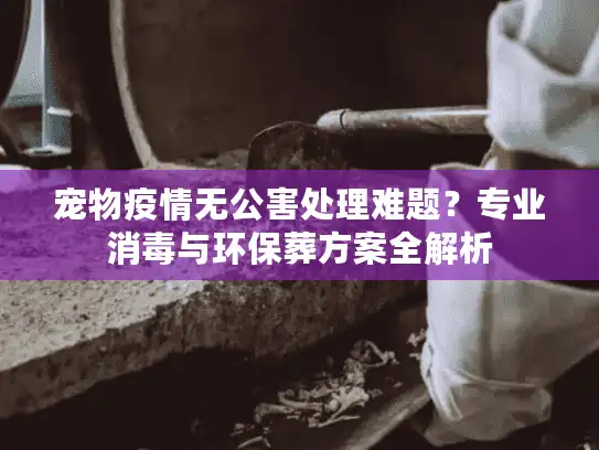 宠物疫情无公害处理难题？专业消毒与环保葬方案全解析