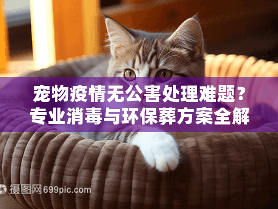 宠物疫情无公害处理难题？专业消毒与环保葬方案全解析