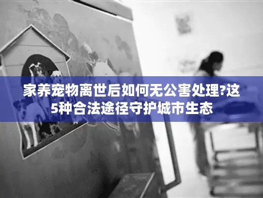 家养宠物离世后如何无公害处理?这5种合法途径守护城市生态 家养宠物离世后如何无公害处理?这5种合法途径守护城市生态
