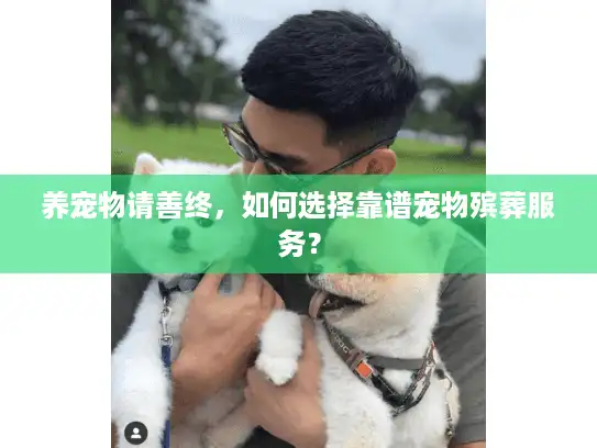 养宠物请善终，如何选择靠谱宠物殡葬服务？