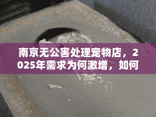 南京无公害处理宠物店，2025年需求为何激增，如何选对服务？