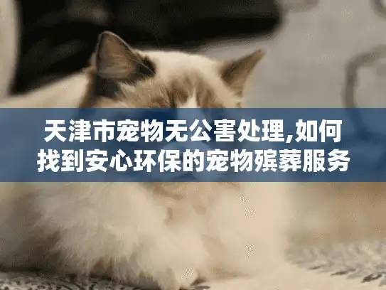 天津市宠物无公害处理,如何找到安心环保的宠物殡葬服务?