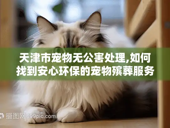 天津市宠物无公害处理,如何找到安心环保的宠物殡葬服务?