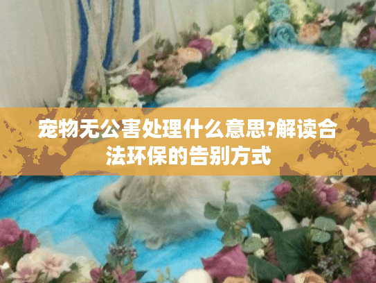 宠物无公害处理什么意思?解读合法环保的告别方式