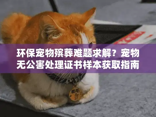 环保宠物殡葬难题求解？宠物无公害处理证书样本获取指南