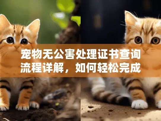 宠物无公害处理证书查询流程详解，如何轻松完成每一步操作？