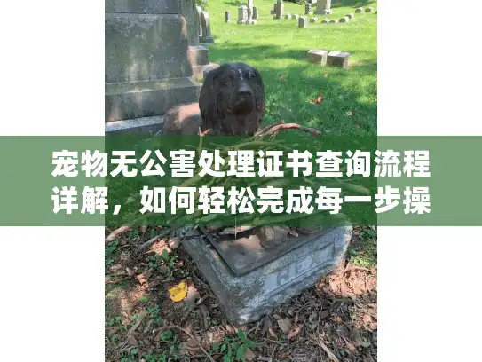 宠物无公害处理证书查询流程详解，如何轻松完成每一步操作？