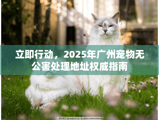 立即行动，2025年广州宠物无公害处理地址权威指南