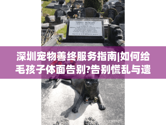 深圳宠物善终服务指南|如何给毛孩子体面告别?告别慌乱与遗憾