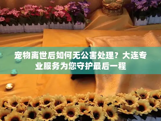 宠物离世后如何无公害处理？大连专业服务为您守护最后一程