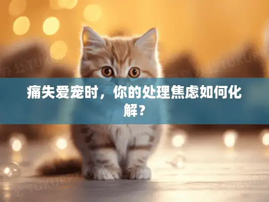 痛失爱宠时,你的处理焦虑如何化解? 痛失爱宠时,你的处理焦虑如何化解?