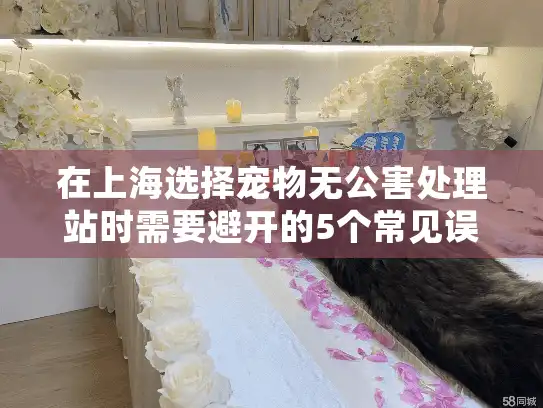在上海选择宠物无公害处理站时需要避开的5个常见误区 在上海选择宠物无公害处理站时需要避开的5个常见误区