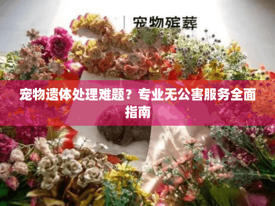 宠物遗体处理难题？专业无公害服务全面指南
