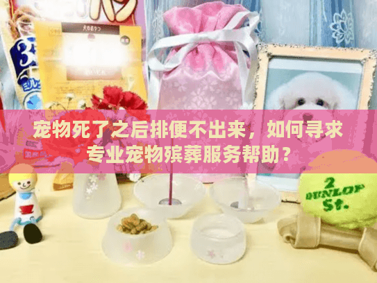 宠物死了之后排便不出来,如何寻求专业宠物殡葬服务帮助? 宠物死了之后排便不出来,如何寻求专业宠物殡葬服务帮助?