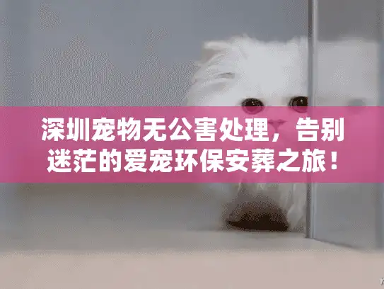 深圳宠物无公害处理,告别迷茫的爱宠环保安葬之旅! 深圳宠物无公害处理,告别迷茫的爱宠环保安葬之旅!