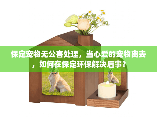 保定宠物无公害处理，当心爱的宠物离去，如何在保定环保解决后事？