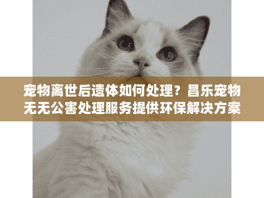 宠物离世后遗体如何处理?昌乐宠物无无公害处理服务提供环保解决方案 宠物离世后遗体如何处理?昌乐宠物无无公害处理服务提供环保解决方案