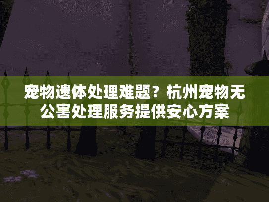 宠物遗体处理难题？杭州宠物无公害处理服务提供安心方案