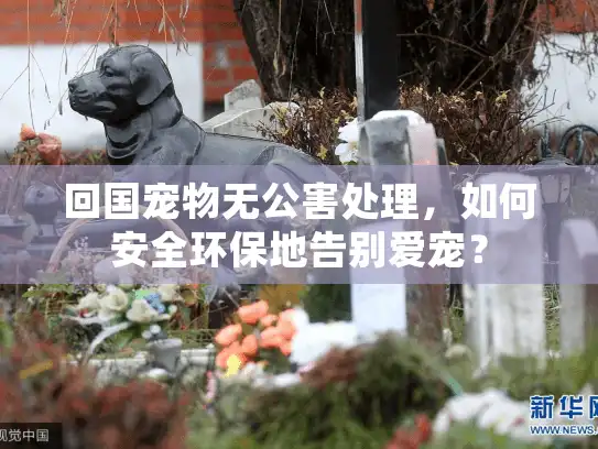 回国宠物无公害处理,如何安全环保地告别爱宠? 回国宠物无公害处理,如何安全环保地告别爱宠?