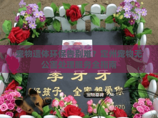 宠物遗体环保告别难？定州宠物无公害处理服务全指南