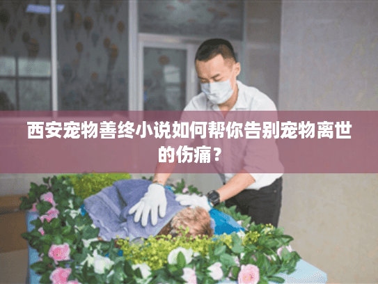 西安宠物善终小说如何帮你告别宠物离世的伤痛？