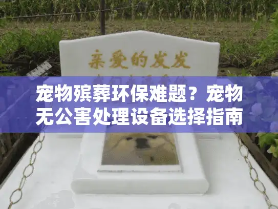 宠物殡葬环保难题?宠物无公害处理设备选择指南来了! 宠物殡葬环保难题?宠物无公害处理设备选择指南来了!