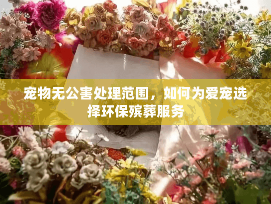 宠物无公害处理范围，如何为爱宠选择环保殡葬服务